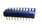 DS10