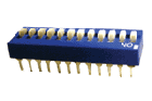 DS12