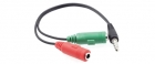CAVO6025