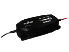CLX-2