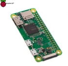 RASP16